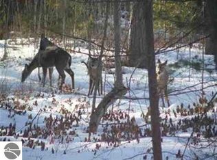0 Derosia Trl, East Tawas, MI 48730