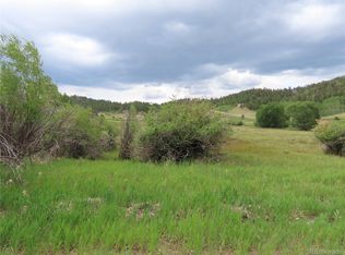 8 Mohawk Path, Lake George, CO 80827