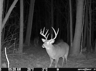 5076 Back Shelltown Rd, Marion Station, MD 21838