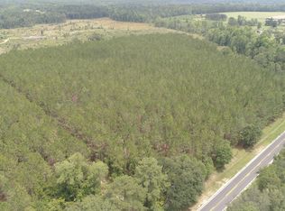 0 Hendrix Bridge Rd, Claxton, GA 30417