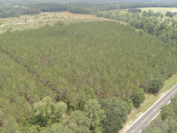 0 Hendrix Bridge Rd, Claxton, GA 30417