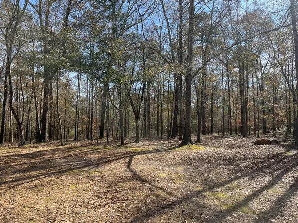 County Road 46, Shorterville, AL 36373