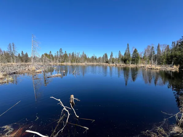 Xx Heffelfinger Trl, Silver Bay, MN 55614