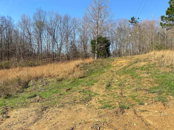 65 Amelia Briann Dr, Selmer, TN 38375