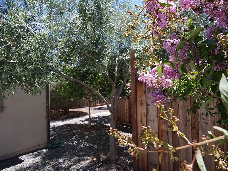2498 Amaryl Dr — Photo 20