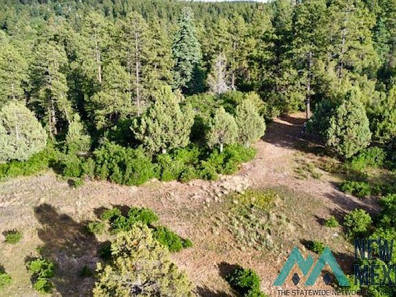 2nd image of Log Ridge Trl