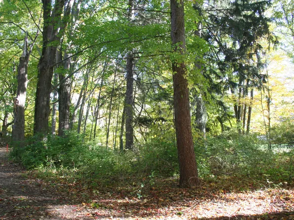 246 Webster Ave, South Haven, MI 49090