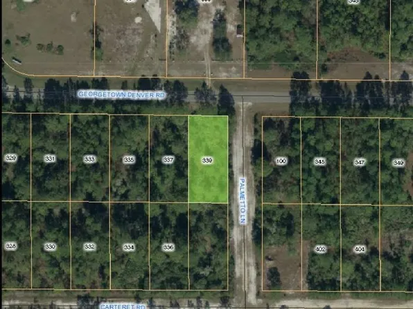 339 Georgetown Denver Rd, Georgetown, FL 32139