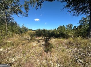 0 Waynesboro Hwy, Sylvania, GA 30467