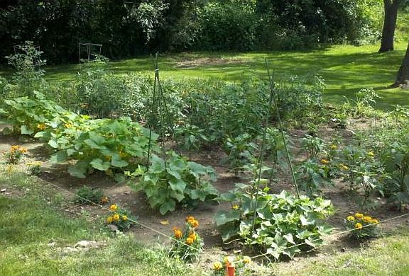 Community Garden