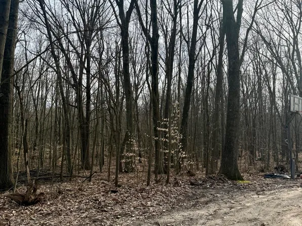 Sycamore St, Grand Junction, MI 49056