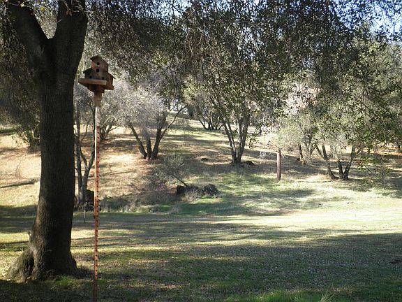 3rd image of 1446 Golden Spur Dr