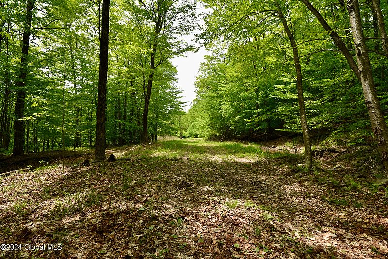 3rd image of 430 Lake Desolation Road
