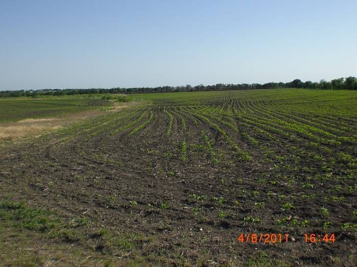 Crop Land