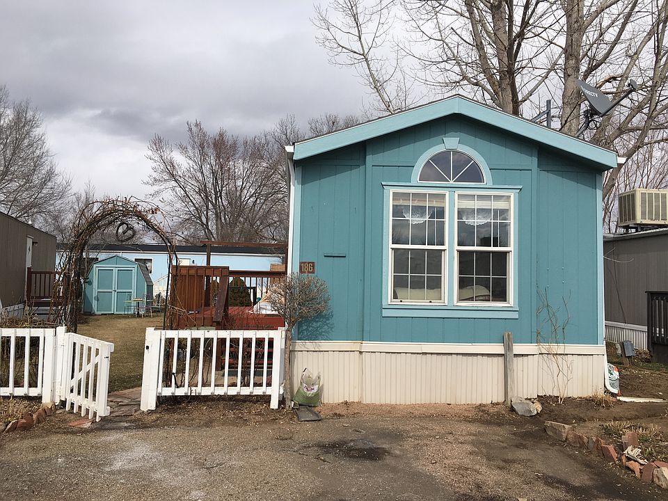 Rose Bush's & Archery