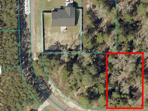 0 Guava Pass Ter #7, Ocklawaha, FL 32179