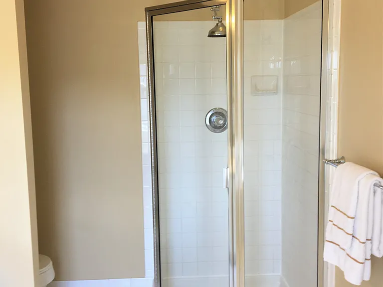 Primary Bathroom Separate Shower