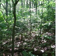 2 Hawk Rdg, Asheville, NC 28804