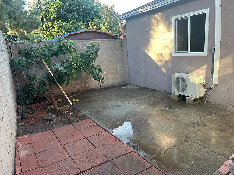private back yard