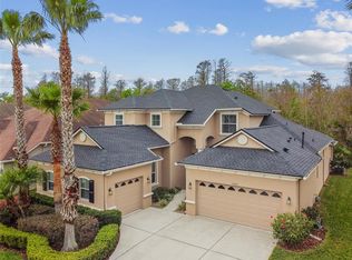 3339 Diamond Falls Cir, Land O Lakes, FL 34638