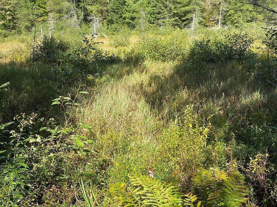 L16, L17 St Rt 8, North Creek, NY 12853 Zillow