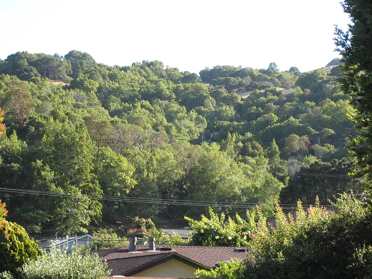 63 Robinhood Dr — Photo 18