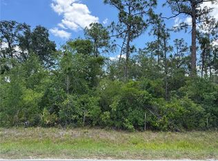 SW Florida Rd LOT 2, Arcadia, FL 34266