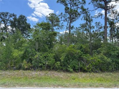 SW Florida Rd LOT 2, Arcadia, FL, 34266