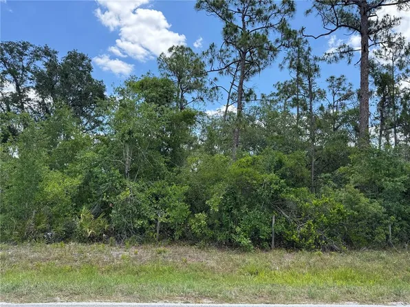 SW Florida Rd Lot 2, Arcadia, FL 34266