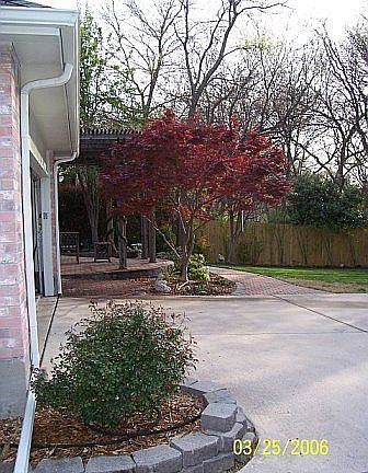 Garage Entry in Rear of House