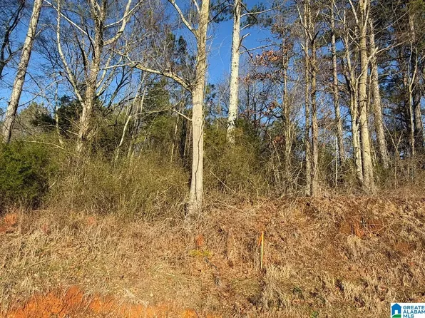 431 Liberty Rd #0, Blountsville, AL 35031