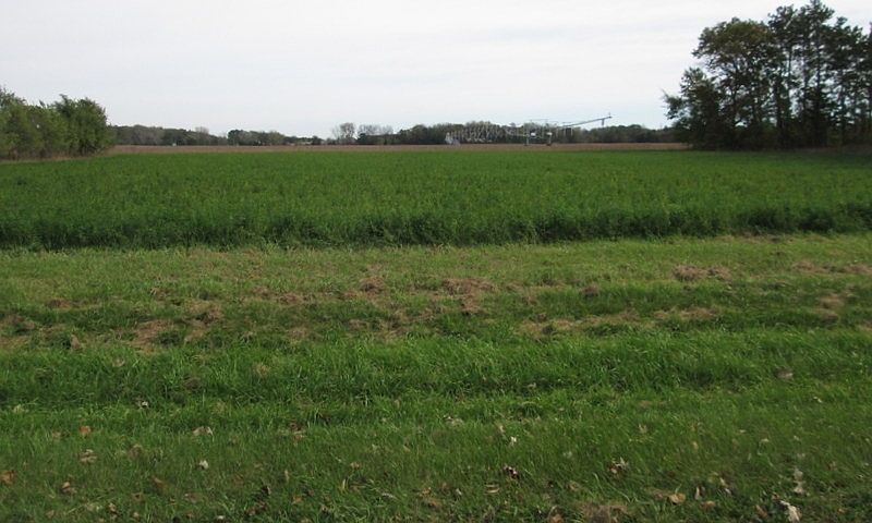 2nd image of L4 6th Ct