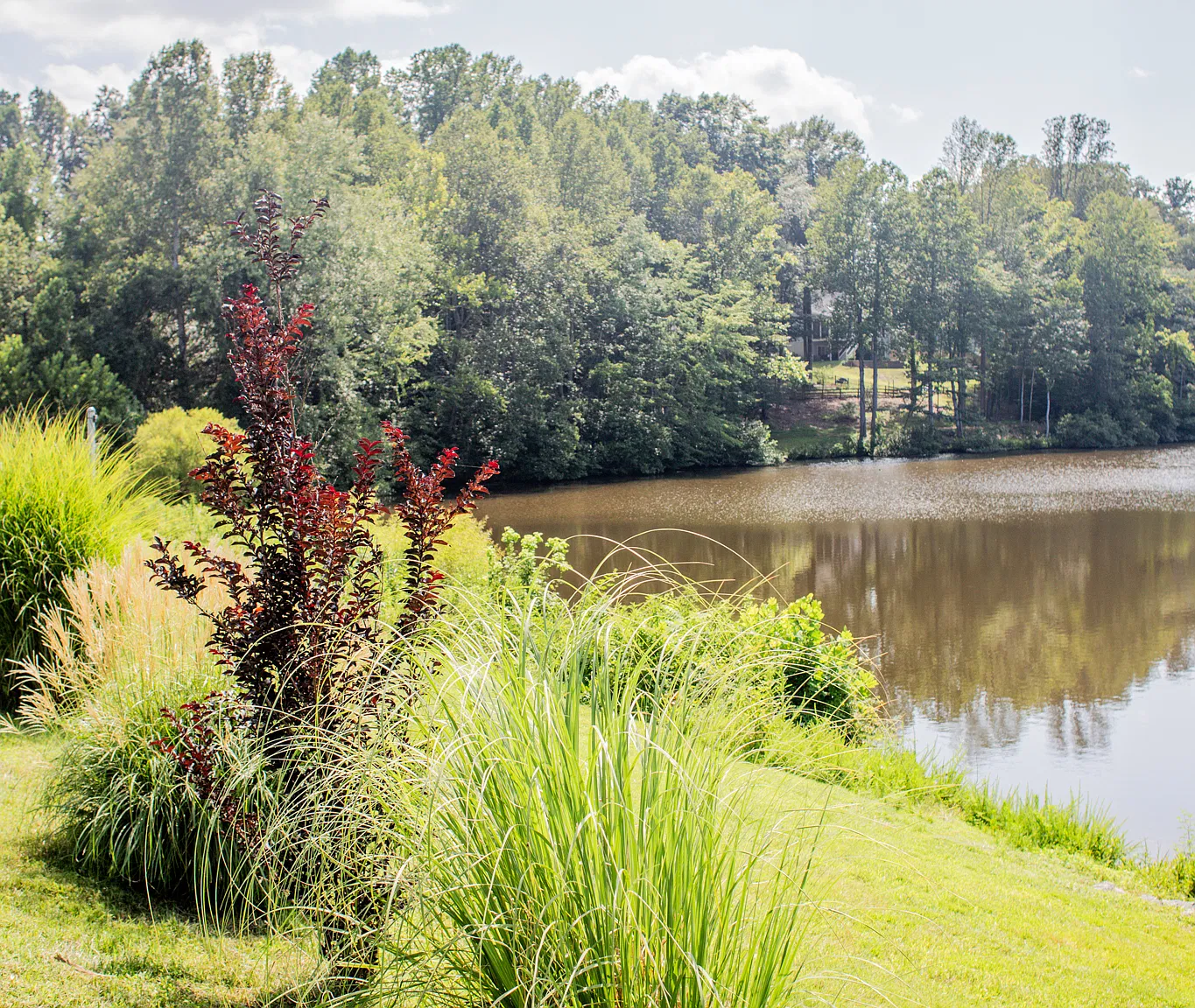 1 bed, $1,585 — Photo 4