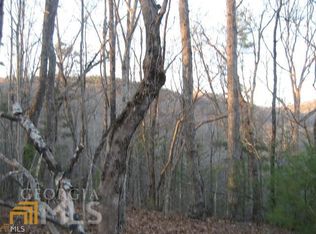 1 Blalock Goldmine Rd #1, Clayton, GA 30525