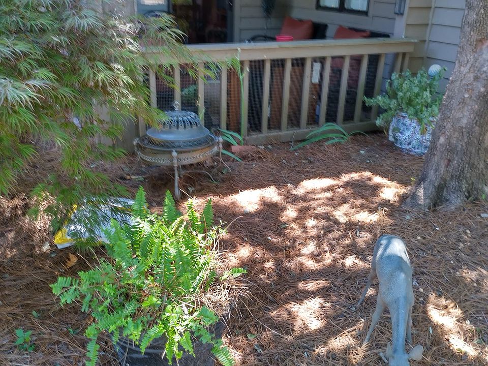 Covered front porch enhanced by large shade tree