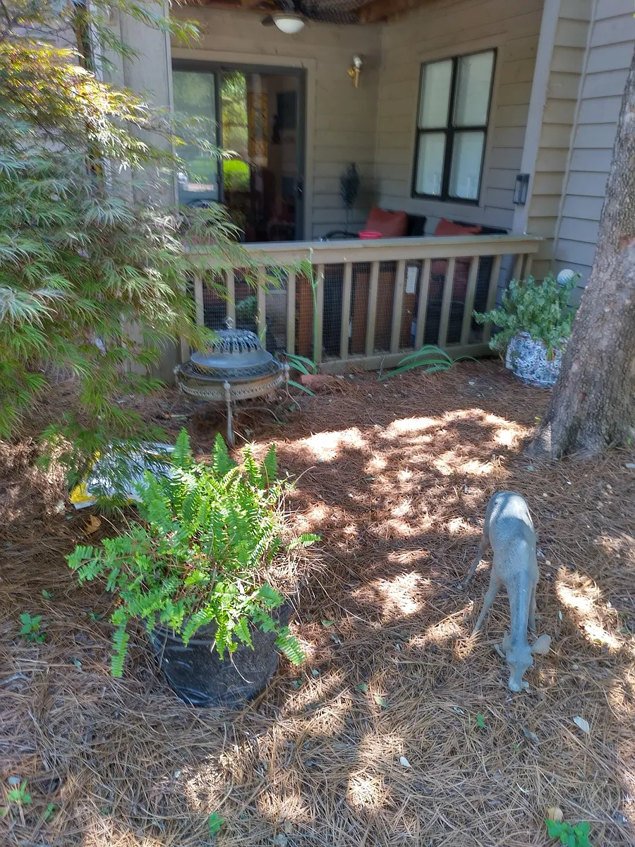 Covered front porch enhanced by large shade tree - 4134 Charlotte Hwy #E