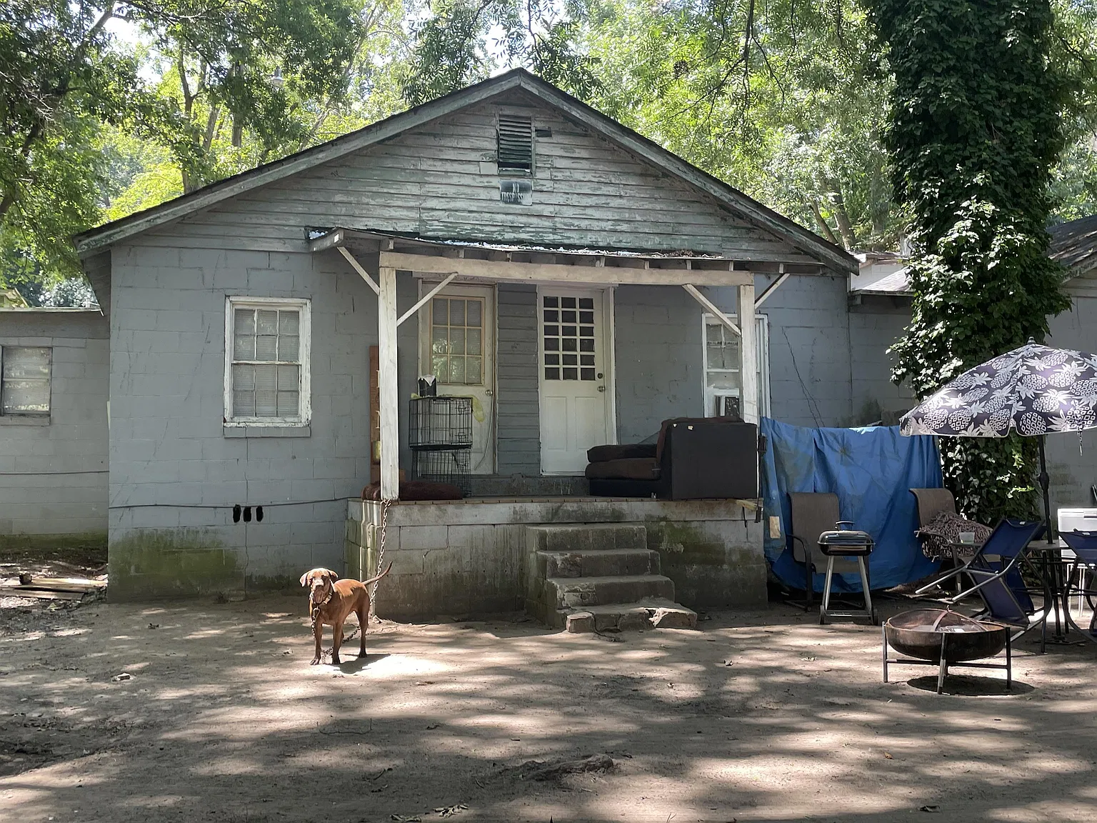 617 Hall Ave - C — Photo 4