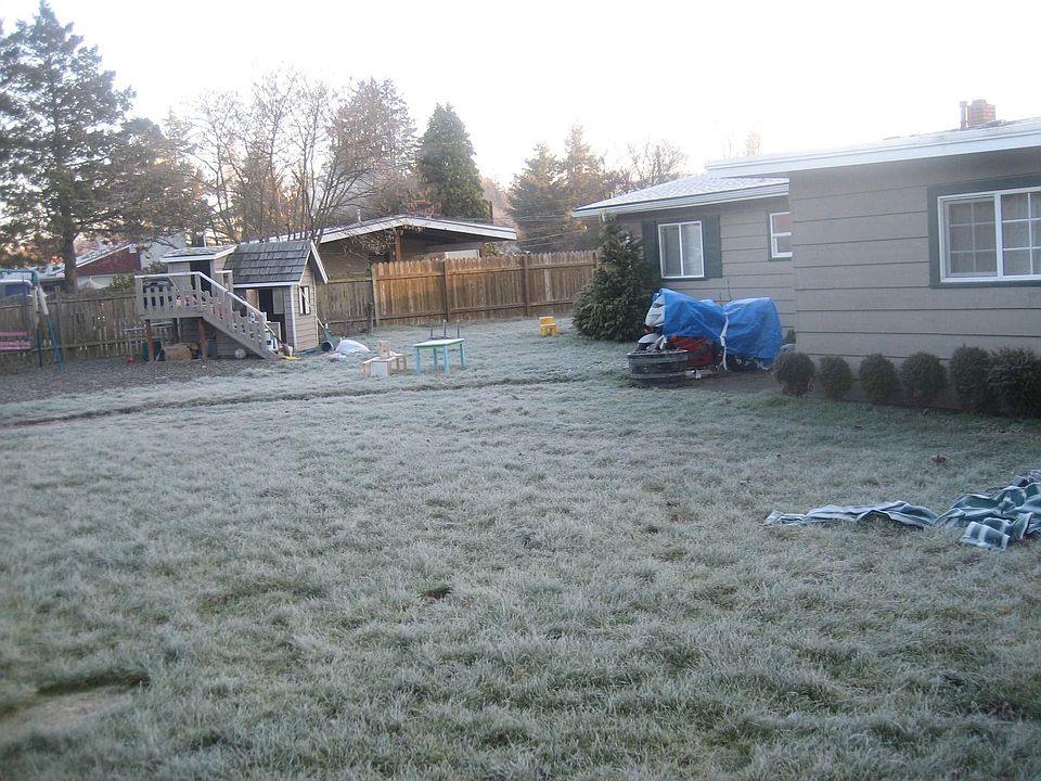 Huge backyard, with playhouse, swing/slide set and shed.