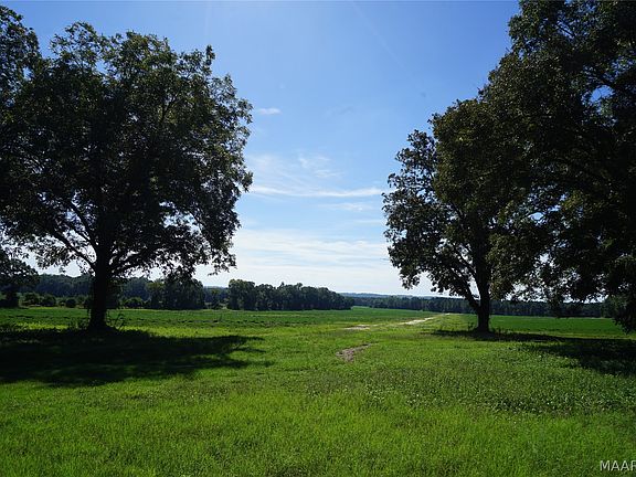 2nd image of 216 County Road 215 Cir