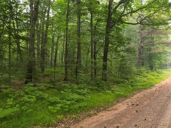 TBD Loop Road, Drummond, WI 54832