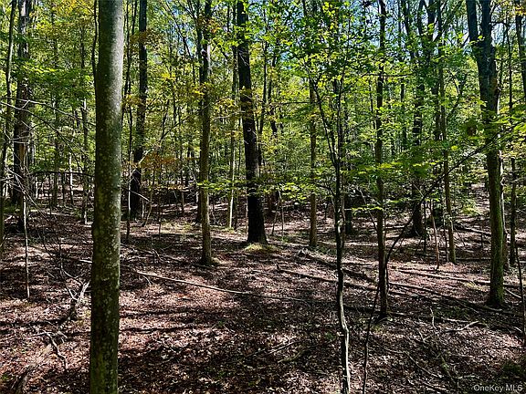 4th image of Westfall