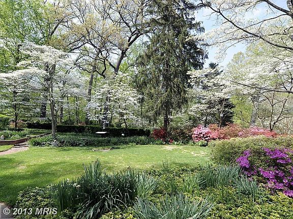 Amazing Rear Yard