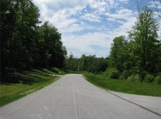 6 Steelhead Run LOT 6, Chardon, OH 44024