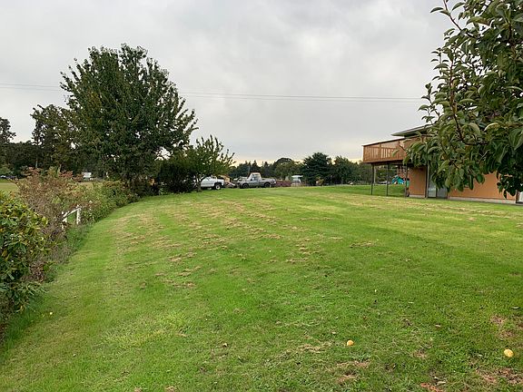 front yard beyond the fruit trees