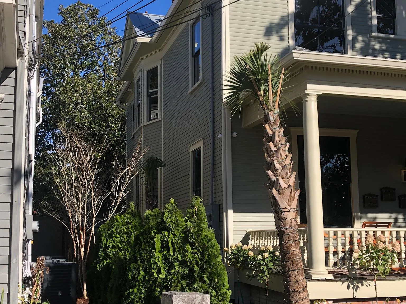 1 bed, 1000 sqft, $1,600 — Photo 3