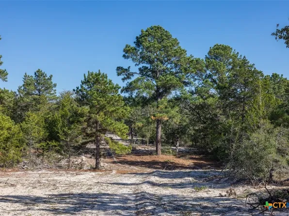 555 Altamira Ln, Dale, TX 78616