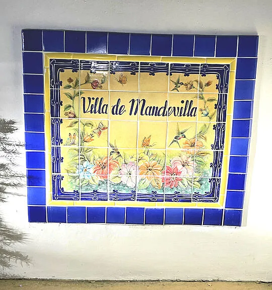 1601 Alisa Ln — Photo 18