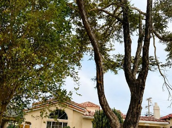 1271 W 81st St, Los Angeles, CA 90044