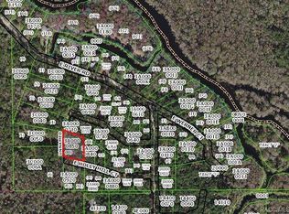 6301 E Holly Hill Ct, Hernando, FL 34442