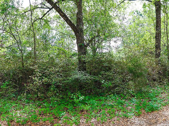 5th image of 475 PRINGLE (CLAY COUNTY) Road